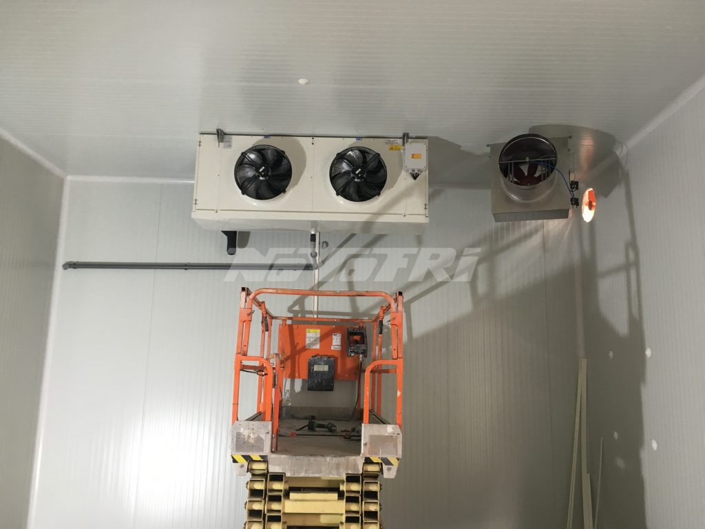 Instalación de cámara frigorífica para productos hortofrutícolas cámara-de-maduración-Glamour-1024x768 
